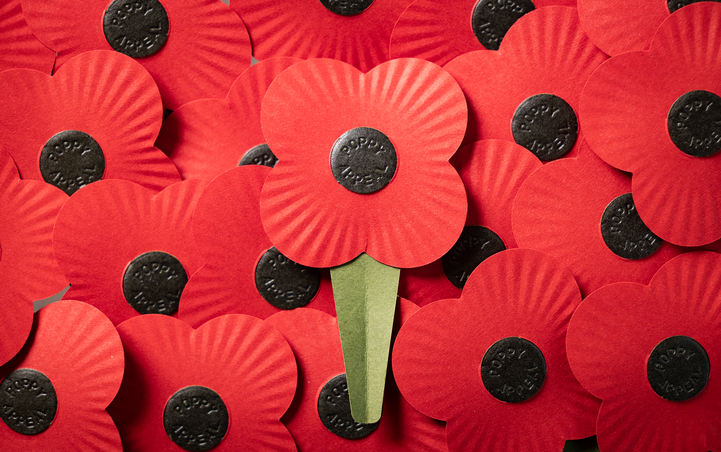 Donation to the Lady Haig Poppy Factory