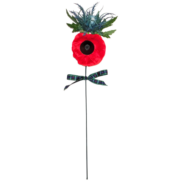 Thistle Long Stem Poppy