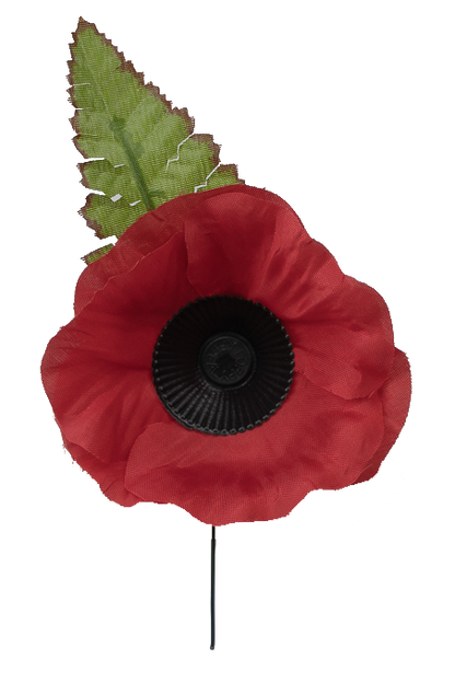 Dress Poppy