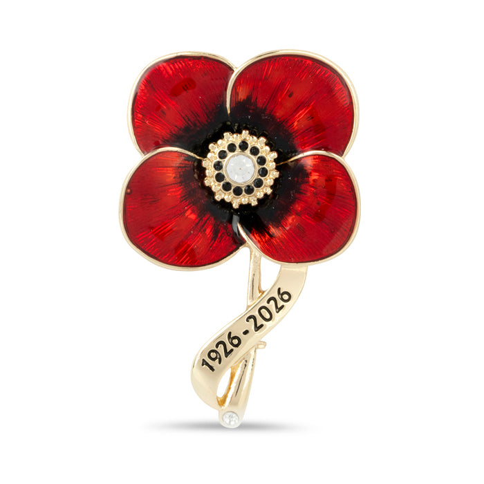 Lady Haig's Poppy Factory 100 Years Brooch