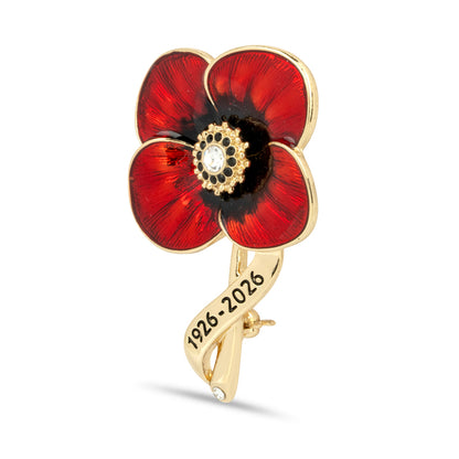 Lady Haig's Poppy Factory 100 Years Brooch