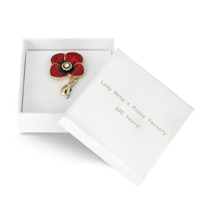 Lady Haig's Poppy Factory 100 Years Brooch