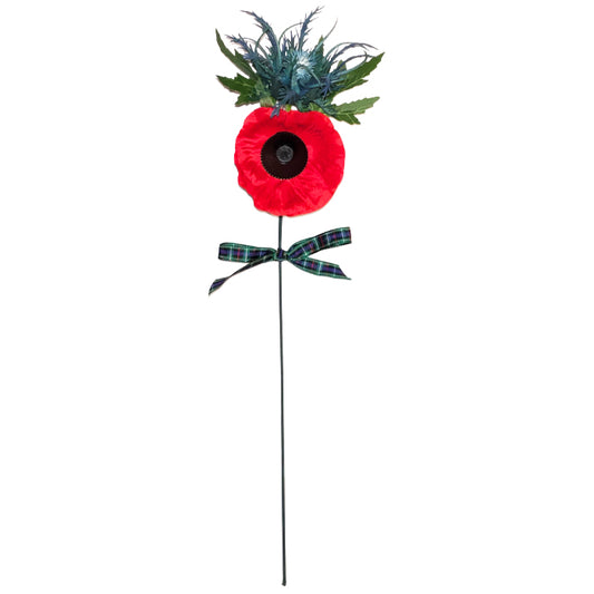 Thistle Long Stem Poppy
